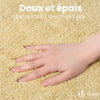 Lot de 2 Tapis de Bain Antidérapant microfibre 60x90cm beige - vounat.shop