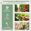 Mini Serre de jardin avec 2 portes enroulables bache PE renforcee 135g/m2 180x90x90cm Blanc - vounat.shop