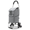 Chariot de courses pliable monte escalier aluminium gris - vounat.shop