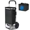 Chariot de course pliable aluminium 2 roues avec sac isotherme noir - vounat.shop