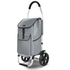Chariot de course pliable aluminium 2 roues gris - vounat.shop