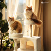 Arbre a chat Grande taille 5 niveaux avec griffoir grattoir 168cm beige - vounat.shop