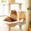Arbre a chat Grande taille 5 niveaux avec griffoir grattoir 168cm beige - vounat.shop