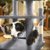 Arbre a chat Grande taille 5 niveaux avec griffoir grattoir 168cm gris - vounat.shop