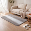 Tapis de salon poils ras doux antiderapant 80x150cm uni gris - vounat.shop