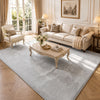 Tapis de salon poils ras doux antiderapant 200x300cm uni gris - vounat.shop