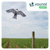 Cerf volant anti oiseaux effaroucheur sans mat Faucon modele A - vounat.shop