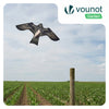 Cerf volant anti oiseaux effaroucheur sans mat Faucon modele F - vounat.shop