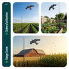 Lot de 2 Cerf volant anti oiseaux effaroucheur avec mat Faucon modele D et G - vounat.shop