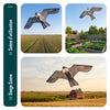 Cerf volant anti oiseaux effaroucheur sans mat Faucon modele A - vounat.shop