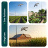Lot de 2 Cerf volant anti oiseaux effaroucheur avec mat Faucon modele A et G - vounat.shop