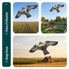 Cerf volant anti oiseaux effaroucheur sans mat Faucon modele E - vounat.shop