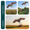 Cerf volant anti oiseaux effaroucheur sans mat Faucon modele B - vounat.shop