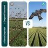 Cerf volant anti oiseaux effaroucheur sans mat Faucon modele F - vounat.shop