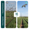 Lot de 2 Cerf volant anti oiseaux effaroucheur avec mat Faucon modele E et G - vounat.shop