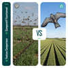 Cerf volant anti oiseaux effaroucheur sans mat Faucon modele C - vounat.shop