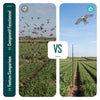 Lot de 2 Cerf volant anti oiseaux effaroucheur avec mat Faucon modele A et G - vounat.shop