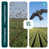 Cerf volant anti oiseaux effaroucheur sans mat Faucon modele D - vounat.shop