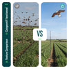 Lot de 2 Cerf volant anti oiseaux effaroucheur avec mat Faucon modele B et G - vounat.shop