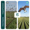 Cerf volant anti oiseaux effaroucheur sans mat Faucon modele B - vounat.shop