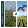 Cerf volant anti oiseaux effaroucheur sans mat Faucon modele A - vounat.shop