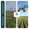 Cerf volant anti oiseaux effaroucheur sans mat Faucon modele E - vounat.shop