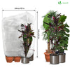 Lot de 3 Housse Hivernage Plante avec Cordon et zipper Polypropylème 80g/m² 200x240cm blanc - vounat.shop