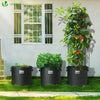 Lot 5 sacs de plantation non tisse 65L avec poignee Noir - vounat.shop